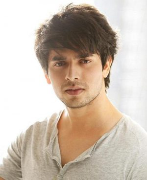 Ansh Bagri Height, Weight, Birthday, Hair Color, Eye Color
