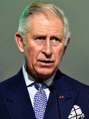Prince Charles Výška, Váha, Datum narození, Barva vlasů, Barva očí