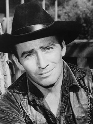 James Drury Height, Weight, Birthday, Hair Color, Eye Color